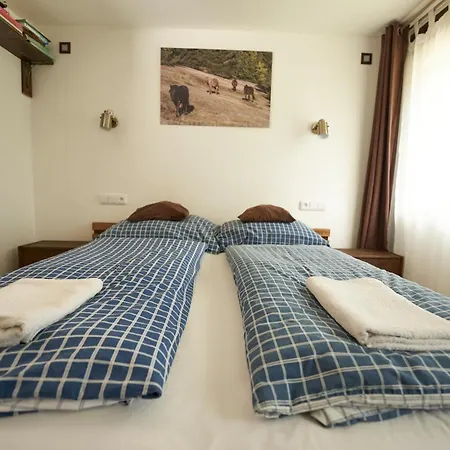 Chalet Orlik *