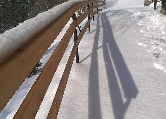 Orlik Domek alpejski *